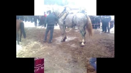 Todorov den Koprivshtica 2012