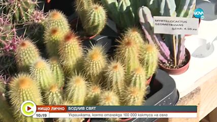 Украинка отглежда 100 000 кактуса у нас