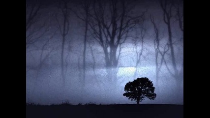 Константин Диков - Soul Tree
