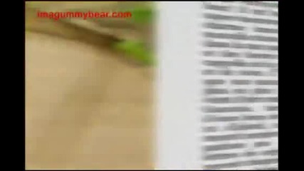 The Gummy Bear Song - Long English Version