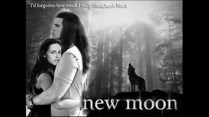 11. Sea Wolf - The Violet Hour - The Twilight saga: New Moon soundtrack 