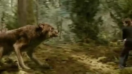 Tv Spot The Wait is over 