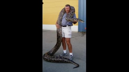 Най - голямата змия откривана някога 