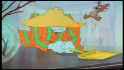 Tom & Jerry The zoot cat