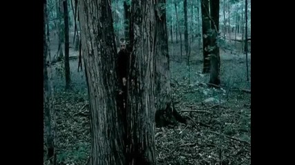 Paramore - Decode