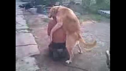 Кучето Го Изнасили