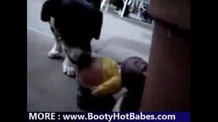 Ass Licking Dog Hot Babe