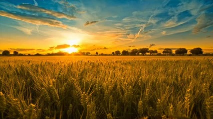 Sun - Horizon (original Mix)