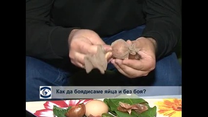 Боядисване на яйца с естествени бои