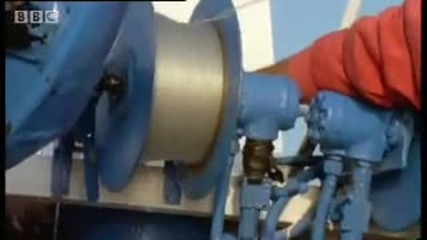 Giant Blue - Finned Tuna - Killer Whale - Bbc Animals