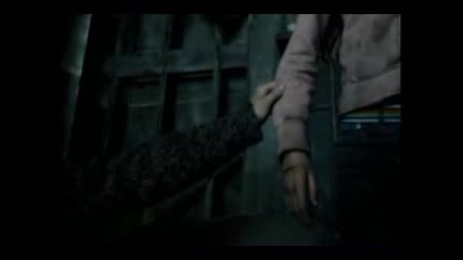 Ron Hermione - Youll Never Be Alone