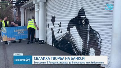 Свалиха творба на Банкси от лондонския зоопарк