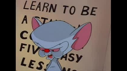 Pinky And The Brain (season 1) Ep 10