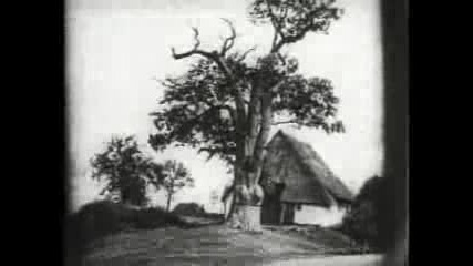 Nosferatu [metal Song]