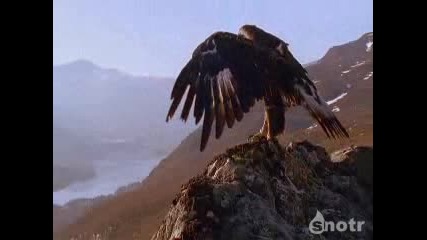 Нека да запазим нашата Земя Чиста!!!