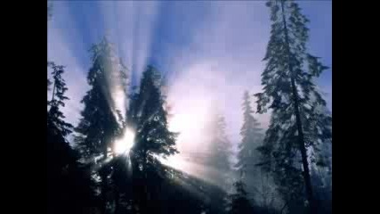 Winter Wallpapers
