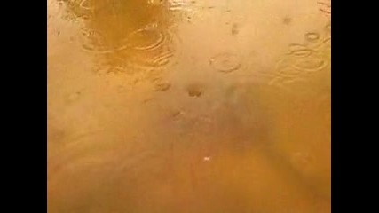 Samsung i8510 slow motion video
