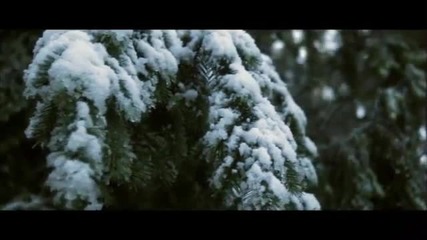 Aleksey Beloozerov - For Those Who Sleeps hd