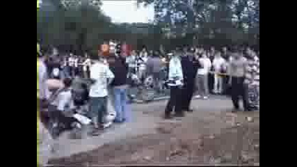 Shteru 2001