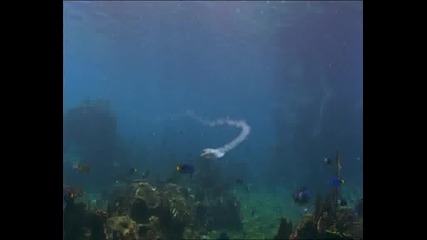 H2O - Just Add Water - 02x03 - Double Trouble 01