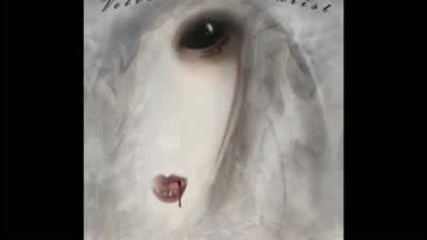 Velvet Acid Christ - Ghost Regen
