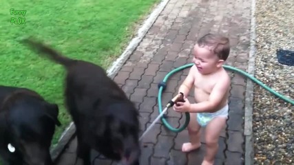 Компилация бебета и кучета се забавляват с маркучи за вода [2015] .. Сладури