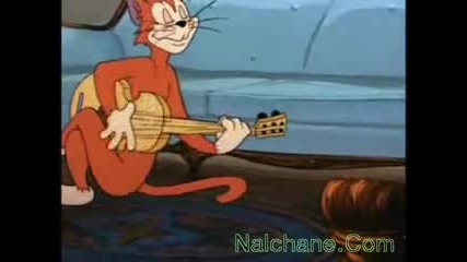 Том и Джери играят Лезгинка