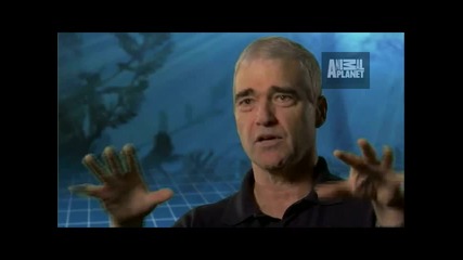 Animal Armageddon Part Fish