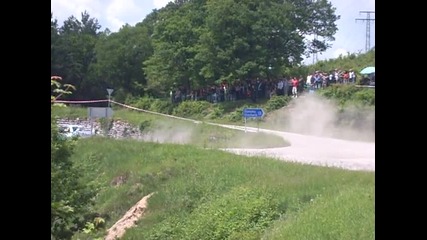 Vida Rally 2010