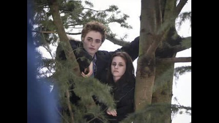 Twilight ^..^
