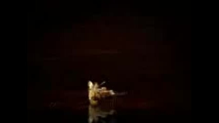 The Black Eyed Peas - Boom Boom Pow