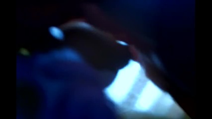 Katty-Firework