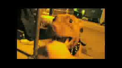 Pitbull feat. Pharrell - Blanco xvid