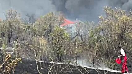Голям пожар във вилна зона край Бургас, задействаха BG-ALERT