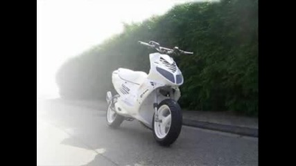 Worlds Best Custom Scoots