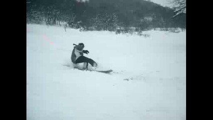 Snowboard