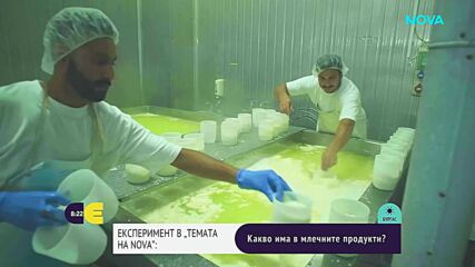 "Темата на NOVA" в аванс: Какво има в млечните продукти