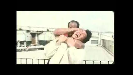 Donnie Yen vs Michael Woods