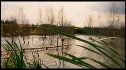 Chris Rea - The Chance Of Love