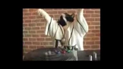 Котка Dj [ Смях ]
