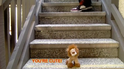 Youtube - New Boyz Youre A Jerk - (parody) 