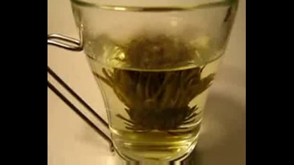 Blooming Tea