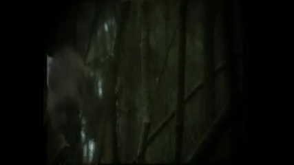 Funeral - This Barren Skin 