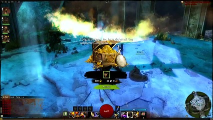 Guild Wars 2 Game Preview