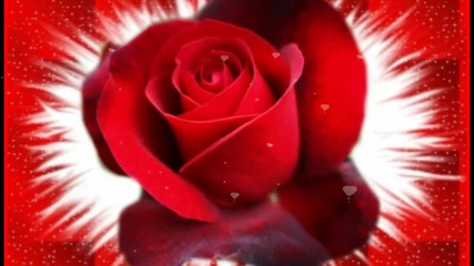 Red Roses ... Music by Armik ...