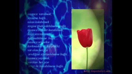 Sakin Ha Biricgim
