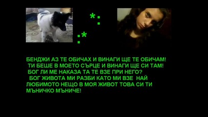В Памет На Кучето Ми :(