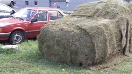 Стопхам 6 /grass паркинг в Русия