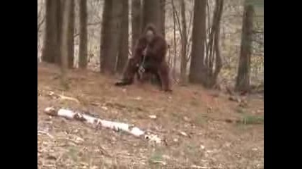 Bigfoot се самоубива