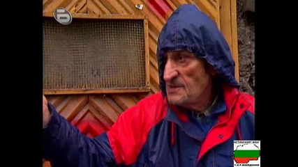 Жертва На Агресията 